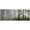 Designart - Green Morning in Forest Panorama - Landscape Canvas Art Print
